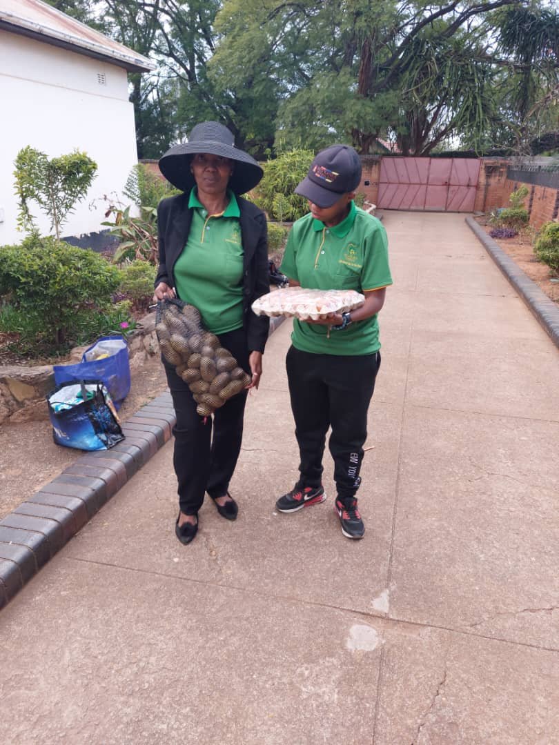Two agents delivering shopping and groceries