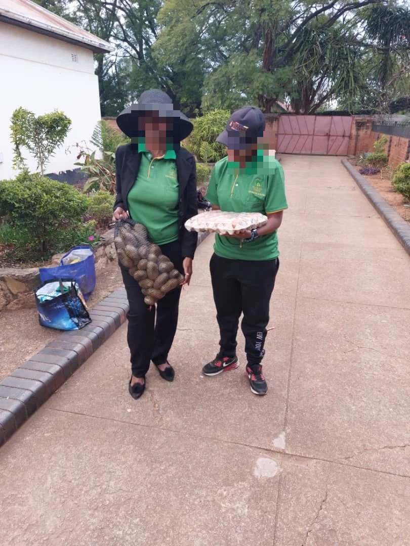 Two agents delivering shopping and groceries